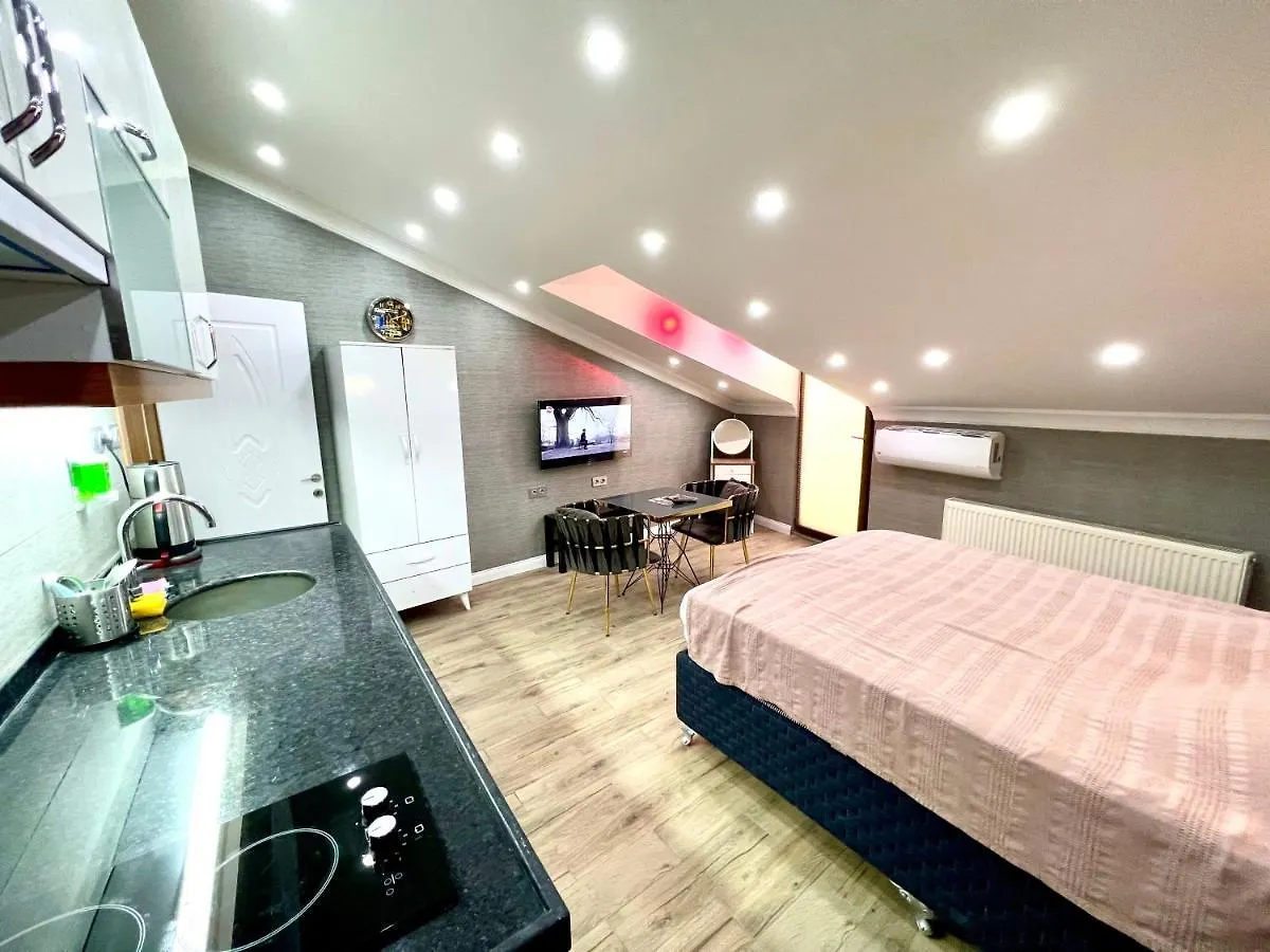 Aparthotel Levent Palace Otel Stdyo Istanbul Turkey